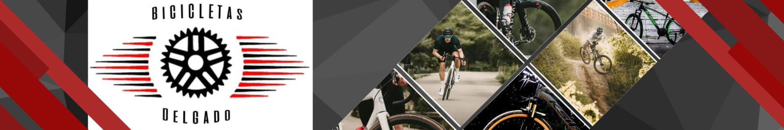 Bicicletas Delgado